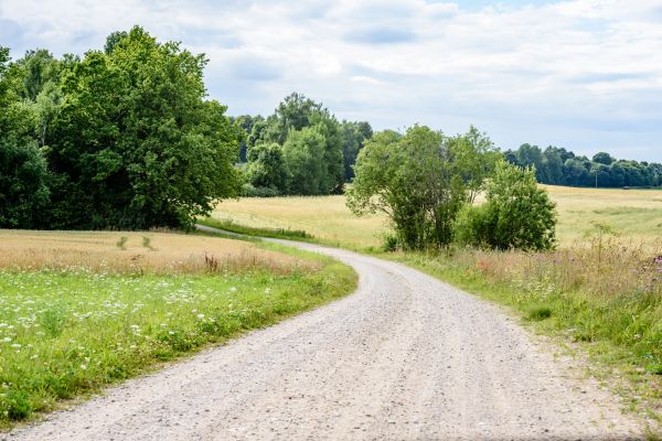 Cost of Stone Driveway Repair in Belleville