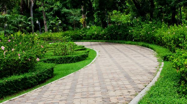 Cost of Paver Walkway Repair in Belleville