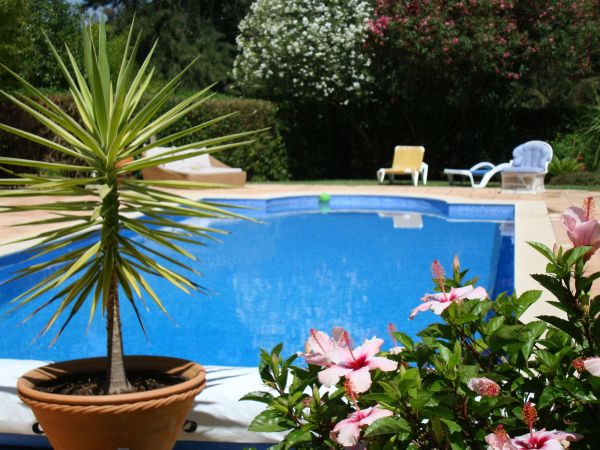 Cost of Pool Terrace Renovation in Belleville