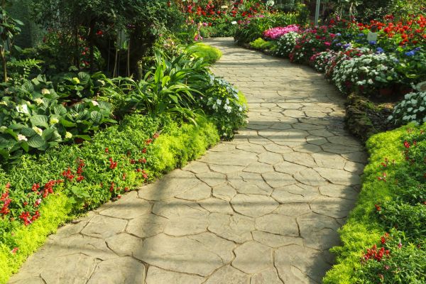 Cost of Stone Pathway Service in Belleville